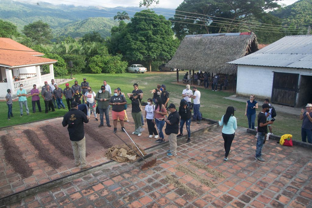 Visitas empresariales Hacienda San Cayetano- Chocolates Valle Canoabo